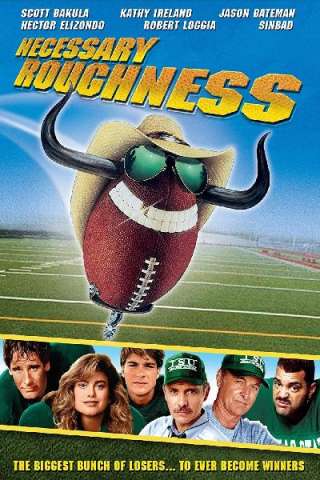 Campioni di guai (1991) streaming