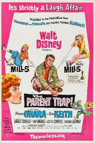 Il cowboy con il velo da sposa (1961) streaming