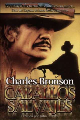 Valdez, il mezzosangue (1973) streaming