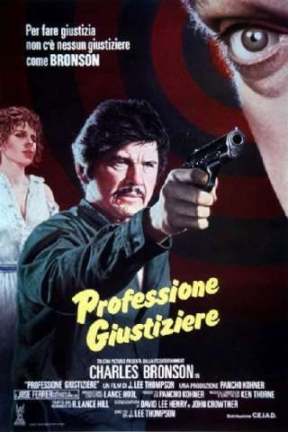Professione giustiziere (1984) streaming