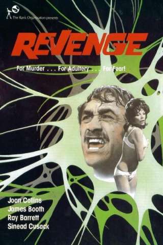 Revenge - Il passo dell'assassino (1971) streaming