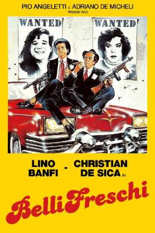 BelliFreschi (1987) streaming