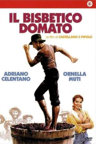 Il bisbetico domato (1980) streaming