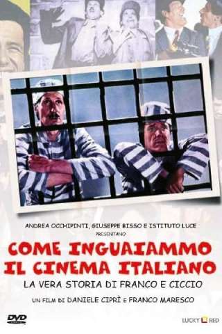 Come inguaiammo il cinema italiano - La vera storia di Franco e Ciccio (2004) streaming