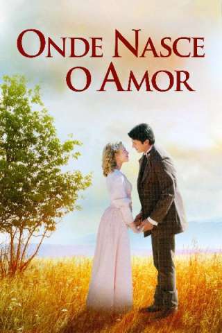 Quando l'amore ha inizio (2011) streaming