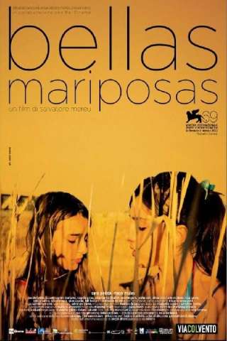 Bellas Mariposas (2012) streaming