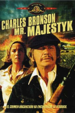 A muso duro (1974) streaming