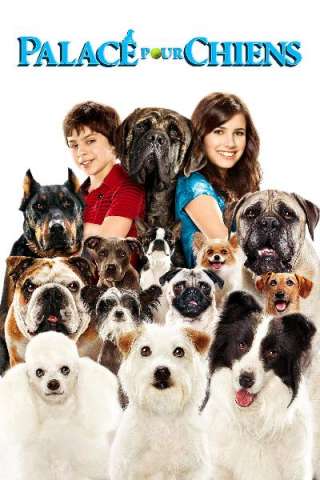 Hotel Bau (2009) streaming