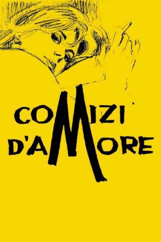 Comizi d'amore (1965) streaming