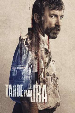 La vendetta di un uomo tranquillo (2016) streaming