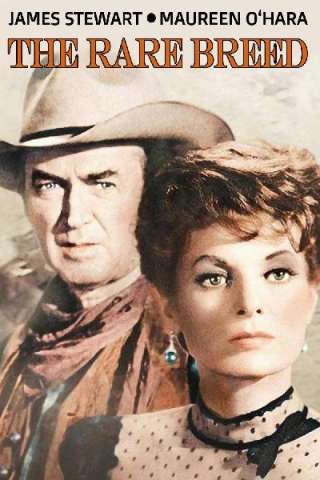 Rancho bravo (1966) streaming