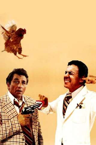 Una strana coppia di suoceri (1979) streaming