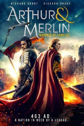 Arthur & Merlin: Knights of Camelot (2020) streaming