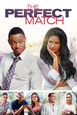 The Perfect Match (2016) streaming