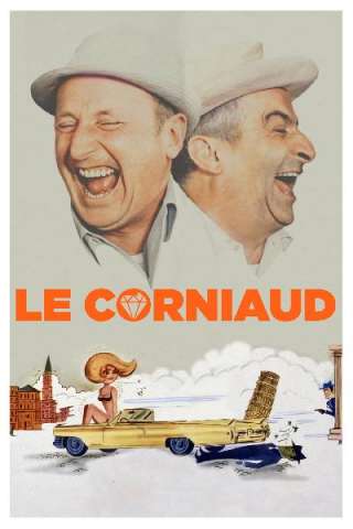 Colpo grosso ma non troppo (1965) streaming