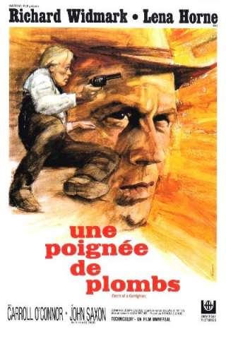 Ultima notte a Cottonwood (1969) streaming