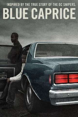 Blue Caprice (2013) streaming