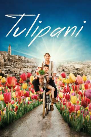 Tulipani - Amore, onore e una bicicletta (2017) streaming