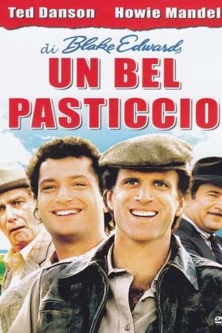 Un bel pasticcio! (1986) streaming