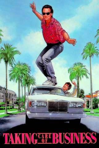Filofax - Un'agenda che vale un tesoro (1990) streaming