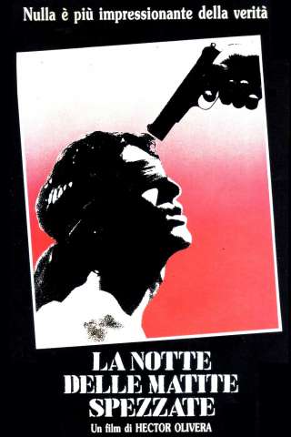 La notte delle matite spezzate (1986) streaming