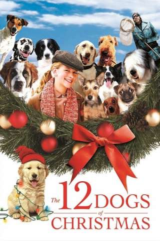 I 12 cani di Natale (2005) streaming