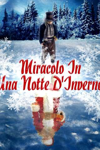 Miracolo di una notte d'inverno (2007) streaming