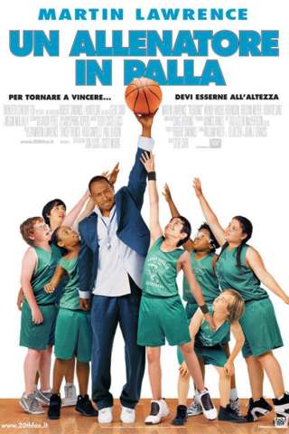 Un allenatore in palla (2005) streaming