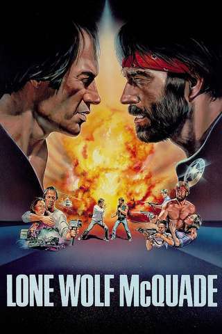 Una magnum per McQuade (1983) streaming