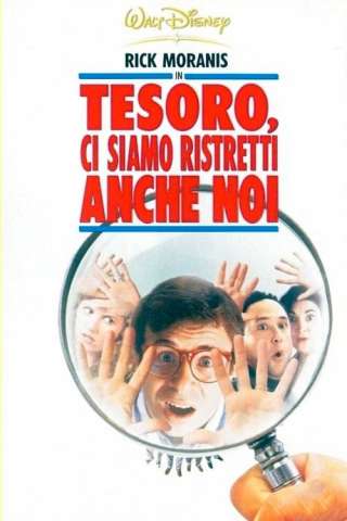 Tesoro, ci siamo ristretti anche noi (1997) streaming
