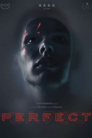 Perfect (2018) streaming