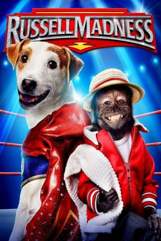 Russell Madness (2015) streaming