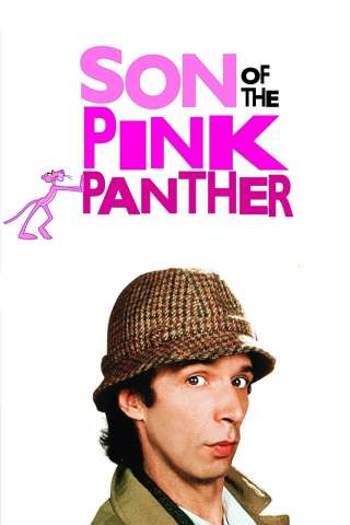 Il figlio della pantera rosa (1993) streaming
