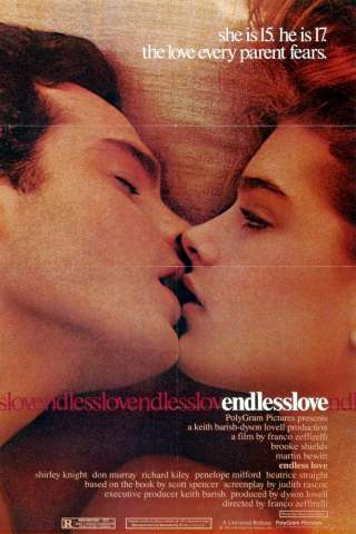 Amore senza fine (1981) streaming