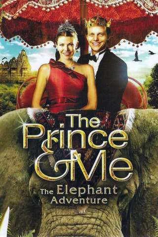 Un principe tutto mio 4 (2010) streaming