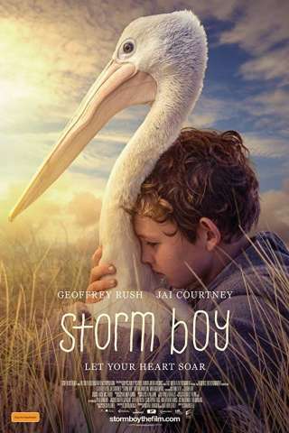 Storm Boy - Il ragazzo che sapeva volare (2019) streaming