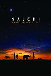 Naledi: A Baby Elephant' s Tale (2016) streaming