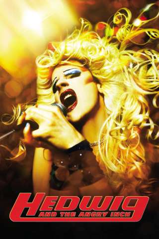 Hedwig - La diva con qualcosa in più (2001) streaming