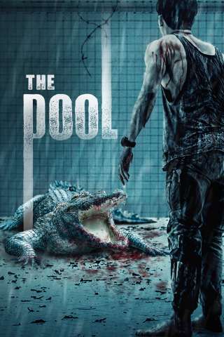 The Pool (2018) (2018) streaming