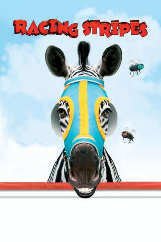 Striscia, una zebra alla riscossa (2005) streaming