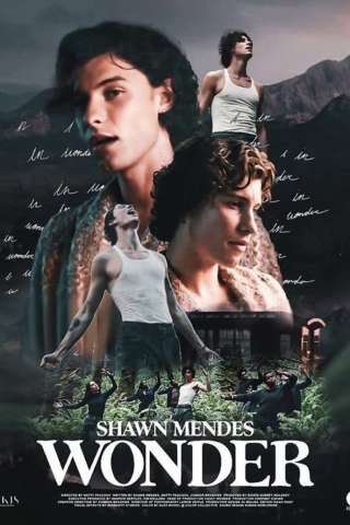 Shawn Mendes: In Wonder (2020) streaming