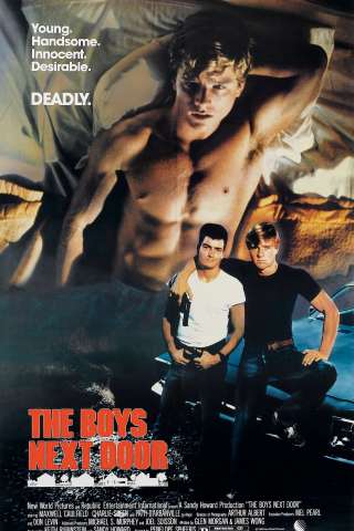 I ragazzi della porta accanto (1986) streaming