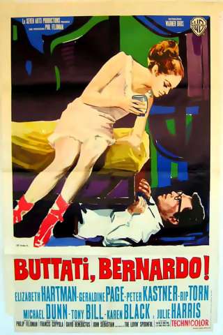 Buttati, Bernardo! (1966) streaming