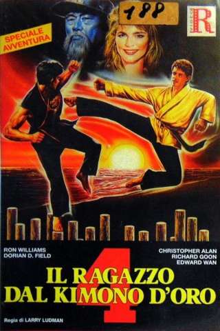 Il ragazzo dal kimono d'oro 4 (1992) streaming