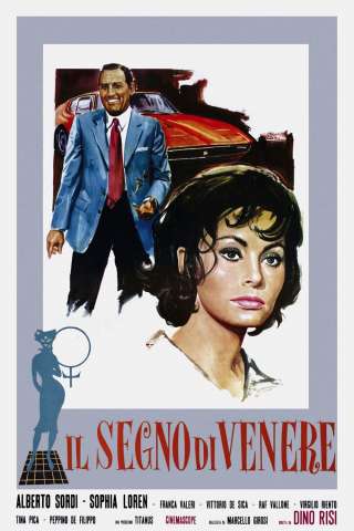 Il segno di Venere (1955) streaming