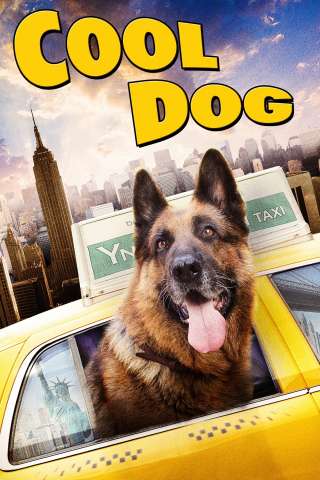 Cool Dog - Rin Tin Tin a New York (2011) streaming