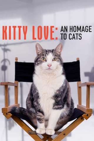 Kitty Love: Evviva i gatti! (2021) streaming