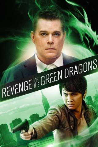 Revenge of the Green Dragons (2014) streaming