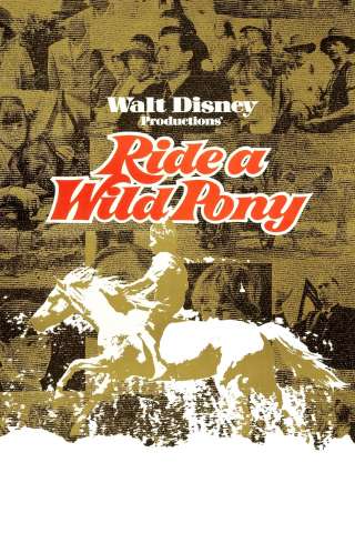 A cavallo di un pony selvaggio (1975) streaming