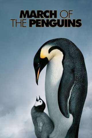 La marcia dei pinguini (2005) streaming